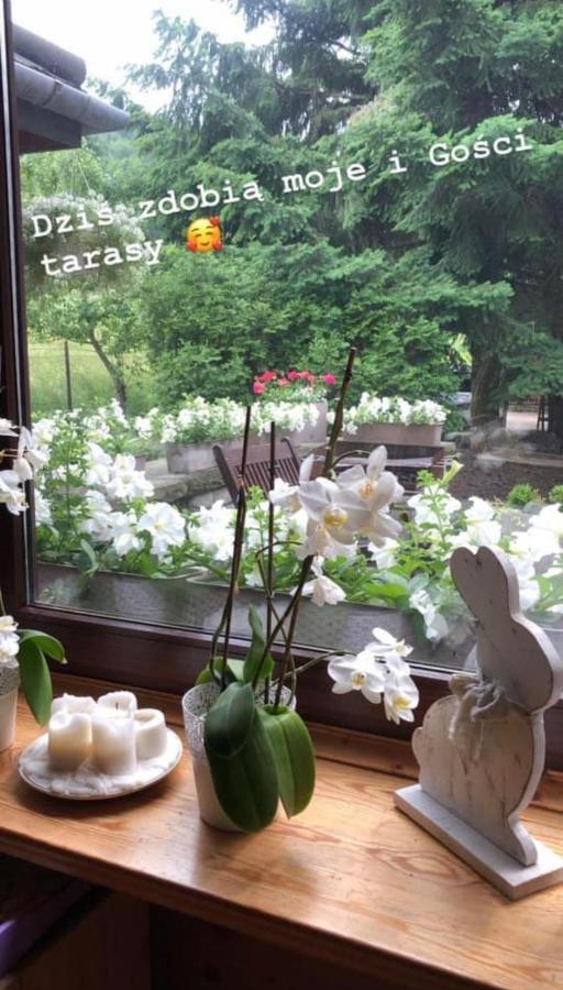シュチルクPoncyljuszowkaアパートメント エクステリア 写真